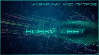 #aquascaping Аквариум 400 литров. Новый свет.