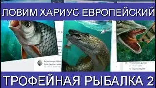 Трофейная рыбалка 2 Ловим Хариус европейский