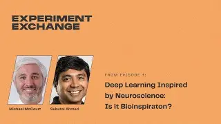 Deep Learning Inspired by Neuroscience: Is it Bioinspiraton?