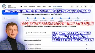 Декларация 3-НДФЛ. Продажа квартиры. Приватизация. Кадастровая меньше. Минус 1000000. Без вычетов.