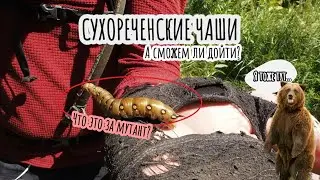 СУХОРЕЧЕНСКИЕ ЧАШИ | Возможно ли добраться летом?