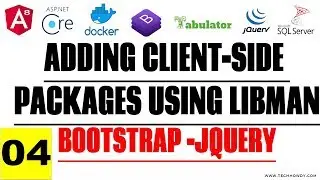 Featured Image Slider - Angular 8 | Asp.Net Core 2.2 - Adding Client Side Packages Using Libman