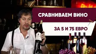 Сравниваем вино за 5 и за 75 евро