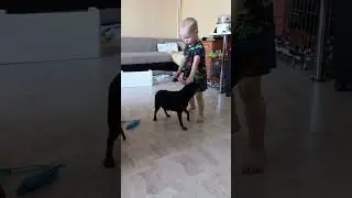 Бугай Алабай. Лев и Женя.
