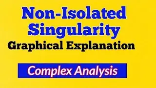 #5 non isolated singularity|non isolated singularity in complex analysis|essential singularity