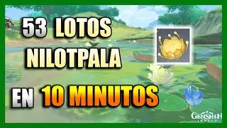 DONDE ENCONTRAR LOTO NILOTPALA - UBICACIÓN | SUMERU - RUTA FARMEO | GENSHIN IMPACT