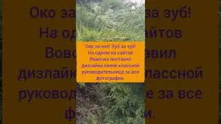 Улыбайся чаще