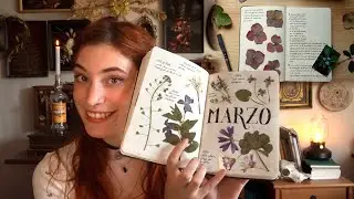 ¡Haz un DIARIO ESTACIONAL! 📖🍁 Tour por mi diario y comienza el nuevo conmigo