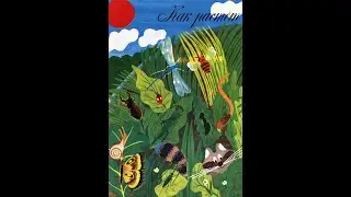 Колобок 1979 №3(85) - 2(4) Как растёт трава. В. Данько.