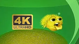 4K 60FPS Original Meme Fish (Yellow Singing Pufferfish)