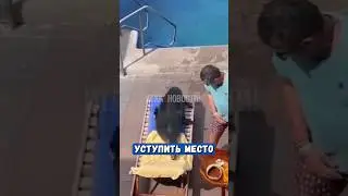 😆 Морской котик отобрал лежак у туриста