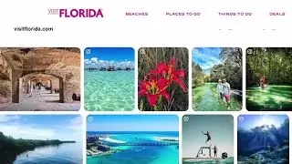 “We must align with the state,” Visit FL CEO explains removal of LGBTQ travel section from website
