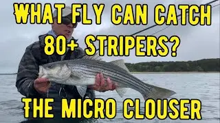 Fly Tying: The Micro Clouser! A big fish magnet!
