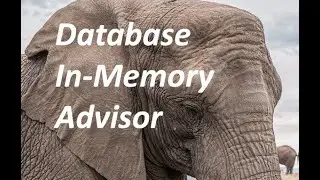 Database In-Memory Advisor