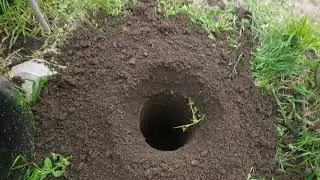 Негуманный способ закошмарить крота.