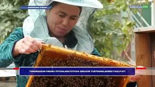 🌱Султонов Озодбек 5 сотихли иссиқхонада редиска, гулкарам ва турли ҳил кўчатлар турларини етиштиради