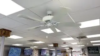 Emerson Sea Breeze Ceiling Fans at South Beach Sweets