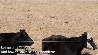 Bet no one ever told you... And how to solve science problems.