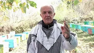 ПЧЕЛИНОЕ ГНЕЗДО на крайних рамках. Как сделать лучше? ЗОЛОТАЯ ОСЕНЬ!