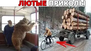 ЭТО РОССИЯ, ДЕТКА! 😎ЭТОТ НАРОД НЕ ПОБЕДИМ!💥 УМОМ РОССИЮ НЕ ПОНЯТЬ!😹