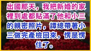 【情感故事】出國那天，我把新婚的家裡到處都貼滿了他和小三的親密照片，譚總帶著小三做完產檢回來，愣是愣住了。#大女主#家庭#反轉劇情#婚姻真相#虐渣#全網熱播#情感故事#情感故事#短暫愛情#旅途邂逅