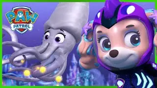 Aqua Pups Stop a Giant Squid - PAW Patrol Episode - Cartoons for Kids