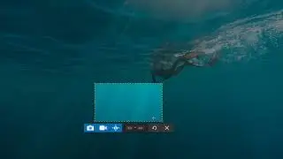 SnagIt Preset - Save time by replacing All in one with Image Only.
