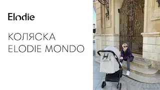 КОЛЯСКА ИЗ ШВЕЦИИ ELODIE MONDO