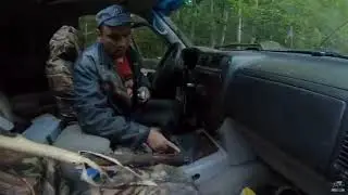 Вошло дерево в салон авто