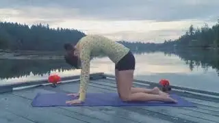 The Path to Harmony: Yoga Basics for Daily Practice,Life Style