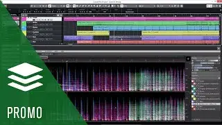 Steinberg SpectraLayers Pro 6 Review