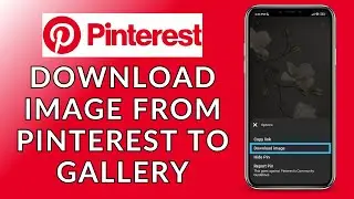 How to Download an Image from Pinterest to Your Gallery | Save Pins to Your Gallery