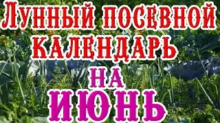 🍅ЛУННЫЙ ПОСЕВНОЙ КАЛЕНДАРЬ 🌙НА ИЮНЬ🌕