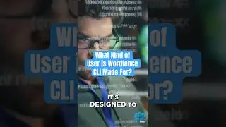 Who is Wordfence CLI Made For? 