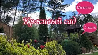 2 часть.Май.Изменения в Саду.Растения агрессоры.Молодые растения в в цветниках.Красавицы Хосты.Дача.