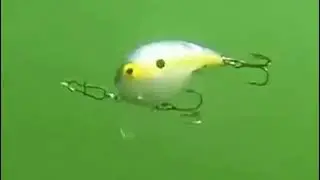 Bomber Shallow A Underwater