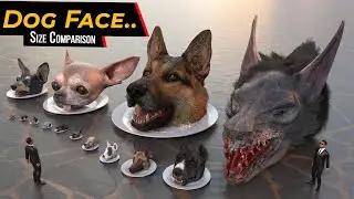 DOG FACE size comparison | Monster Dog face