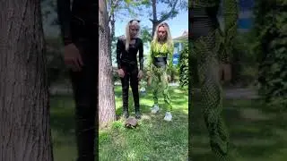 Как думаете, получится?😻 