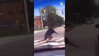 Be careful when crossing the road 😅