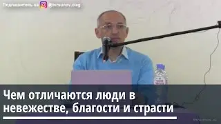Торсунов О.Г.  Чем отличаются люди в невежестве, благости и страсти