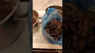 ч.6 Как варить раков. Варка.