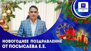 Новогоднее поздравление от Посысаева Е.Е.