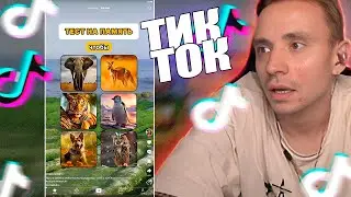 Follentass смотрит tik tok  № 39 #follentass #twitch   #tiktok #фоллентасс