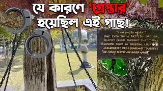যে কারণে ‘গ্রেপ্তার’ হয়েছিল পাকিস্তানের এই বটগাছ! This Tree Arrested 125 Years Ago Still Shackled!
