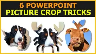 6 ways crop picture in PowerPoint - crop image PowerPoint - PowerPoint tips and tricks