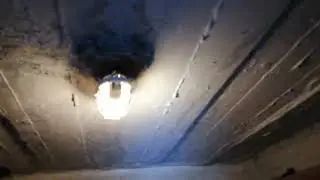 ОХРАНЯЕМЫЙ ПОДДОМНИК