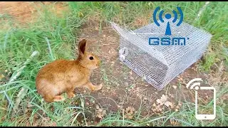 ловушка на дичь живьём - с gsm звонком -animal trap