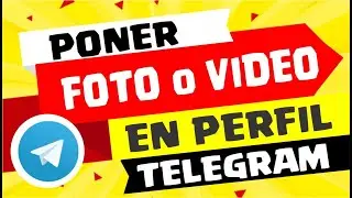 Como poner FOTOS y VIDEOS a Perfil TELEGRAM