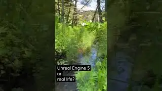 Unreal Engine 5 or real life? Is it nature or Nanite!?