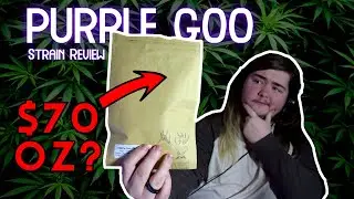 $70 OZ? Is It Worth It? | Purple Goo THCa Strain Review